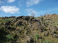 iara Scorciavacca-Eruzione 1651 20110213 018